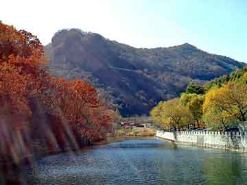 澳门二四六天天彩图库，冷焊钳